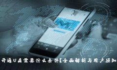 开通U盾需要什么条件？全